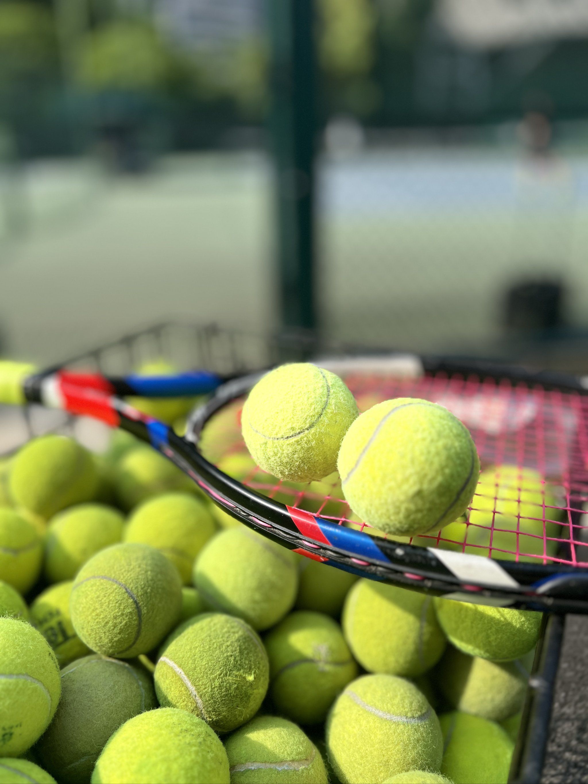 正是因为他 正是因为他